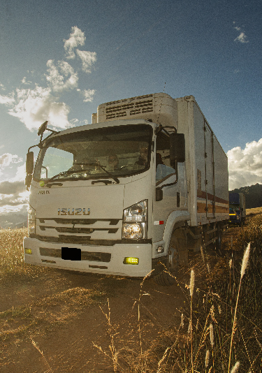 Isuzu Banner